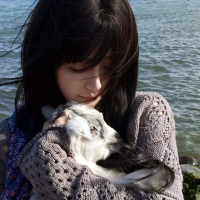 猎狐行动