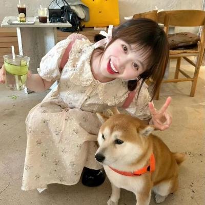 这是我的岛