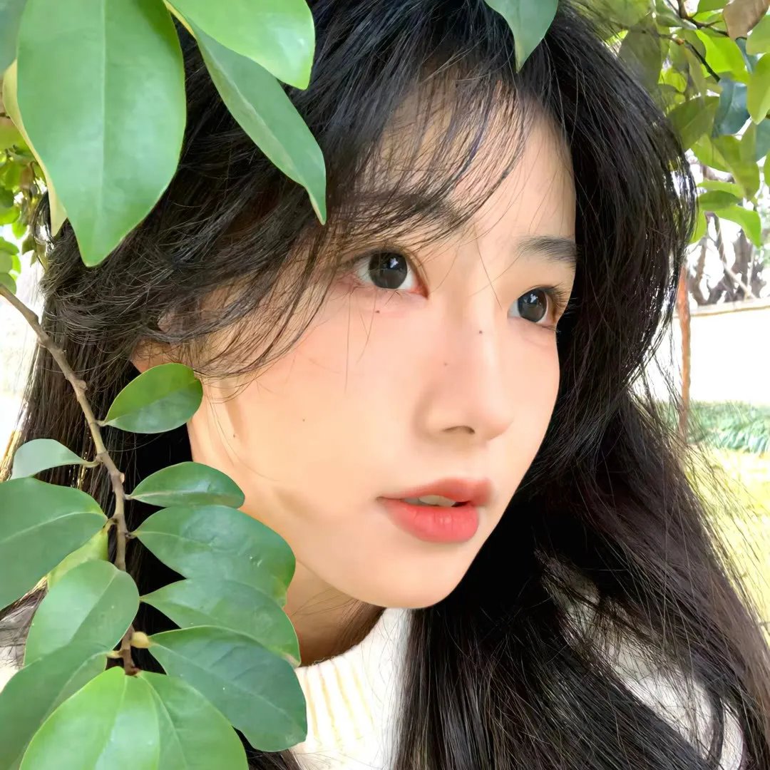 白蛇：缘起